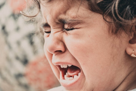The Low-Dopamine Morning: Visual Schedules for ADHD and Neurodivergent Kids