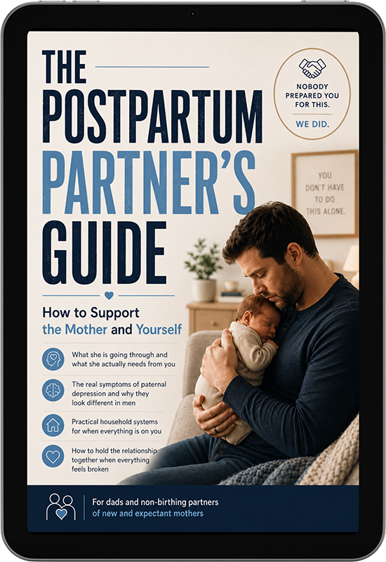 The Postpartum Partner's Guide: How to Support the Mother & Yourself