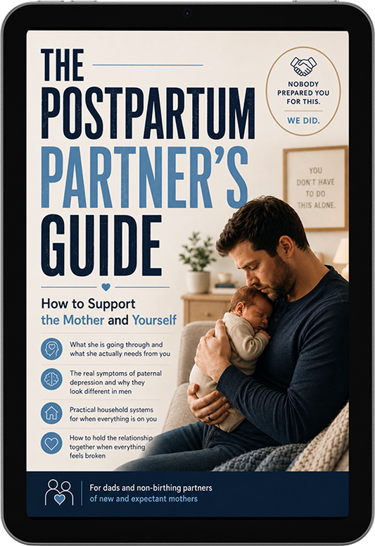 The Postpartum Partner's Guide: How to Support the Mother & Yourself